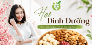 Ăn hạt dinh dưỡng có gây tăng cân không và cách ăn hợp lý? An hat dinh duong co tang can