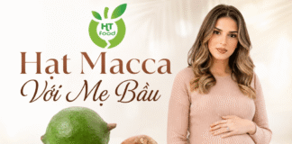 Bà bầu ăn bao nhiêu hạt macca 1 ngày để bổ sung dinh dưỡng? Ba bau an bao nhieu hat macca