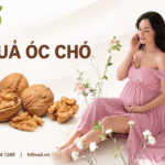 Bà bầu nên ăn bao nhiêu quả óc chó mỗi ngày trong thai kỳ? Ba bau an bao nhieu qua o cho