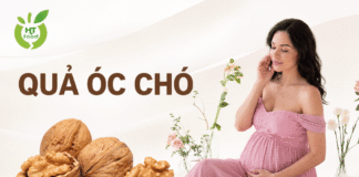 Bà bầu nên ăn bao nhiêu quả óc chó mỗi ngày trong thai kỳ? Ba bau an bao nhieu qua o cho