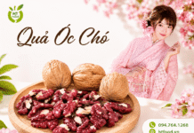 Bán quả óc chó tại Hà Nội nên chọn nhân hay quả nguyên vỏ? Ban qua oc cho o dau Ha Noi