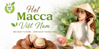 Công dụng của hạt macca đối với sức khỏe và dinh dưỡng Cong dung cua hat macca la gi