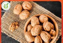 Hạt macca mua ở đâu Hai Bà Trưng?