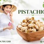 Cửa hàng bán hạt dẻ cười Mỹ uy tín giá tốt tại Việt Nam Cua hang hat de cuoi My uy tin