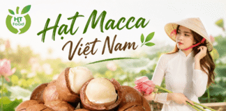 Địa chỉ bán hạt mắc ca tại Hà Nội chất lượng, giá hợp lý Dia chi ban hat mac ca tai Ha Noi