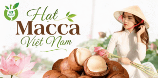 Mua hạt macca ở đâu Tân Bình, TP.HCM ngon và dễ chọn? Dia chi ban hat mac ca tai Tan Binh