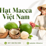 Địa chỉ bán sỉ hạt mắc ca giá rẻ, chất lượng tại TpHCM Dia chi ban hat mac ca tai Tphcm