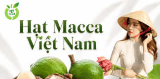 Địa chỉ bán sỉ hạt mắc ca giá rẻ, chất lượng tại TpHCM Dia chi ban hat mac ca tai Tphcm