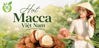 Địa chỉ bán hạt macca chất lượng, thơm ngon, dễ đặt mua Dia chi ban hat macca uy tin