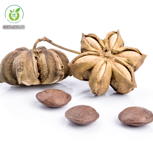 Địa Chỉ Bán hạt sachi Tại Hà Nội