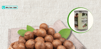 Địa Chỉ Bán Hạt Mắc Ca Tại Hà Nội – Mua Ở Đâu Uy Tín?