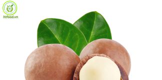 Địa chỉ bán hạt macca uy tín | Mua hạt mắc ca ở đâu Hà Nội, Tphcm là tốt nhất?