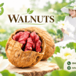 Địa chỉ mua hạt óc chó tại Thủ Đức, TP.HCM giao tận nơi Dia chi mua hat oc cho My tai Thu Duc