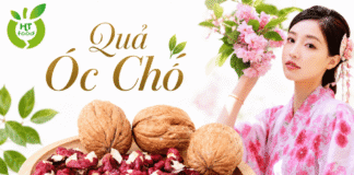 Địa chỉ bán quả óc chó tại Bình Phước, Đồng Nai nhập khẩu Mỹ Dia chi mua qua oc cho tai Binh Phuoc