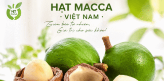 Đối tượng nào nên ăn hạt macca và ăn bao nhiêu mỗi ngày? Doi tuong nao nen an hat macca