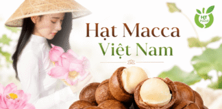 Giá bán hạt macca bao tiền 1kg? Mức giá phổ biến hiện nay Gia ban hat macca bao tien 1kg