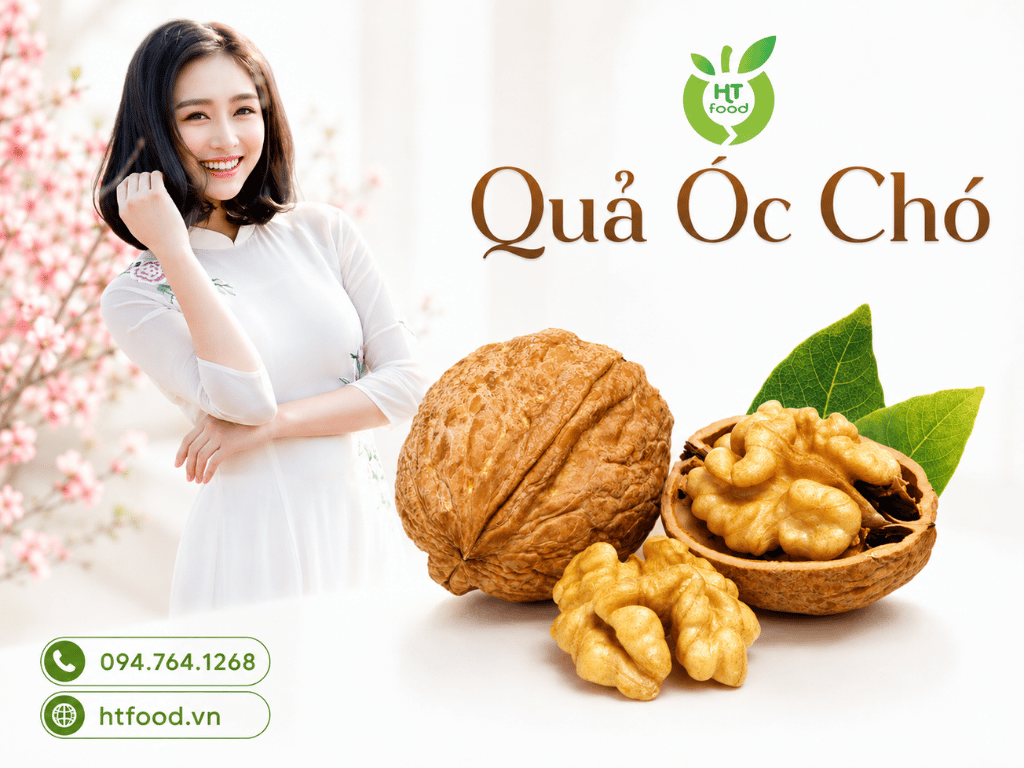 Gia tri dinh duong hat oc cho