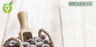 Mua Hạt Sachi Ở Đâu Quận 12 Tphcm?