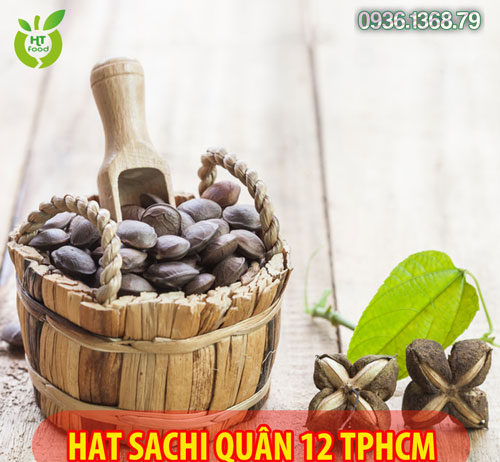 Mua Hạt Sachi Ở Đâu Quận 12 Tphcm?