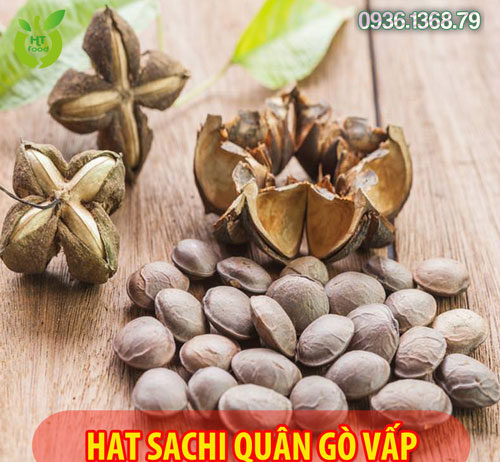 Mua Hạt Sachi Ở Đâu Quận Gò Vấp Tphcm?