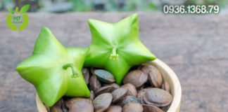 Mua Hạt Sachi Ở Đâu Quận Tân Bình Tphcm?