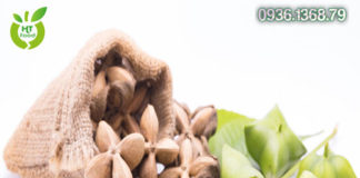 Mua Hạt Sachi Ở Đâu Quận Tân Phú Tphcm?