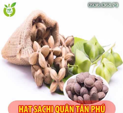 Mua Hạt Sachi Ở Đâu Quận Tân Phú Tphcm?