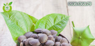 Mua Hạt Sachi Ở Đâu Quận Thủ Đức Tphcm?