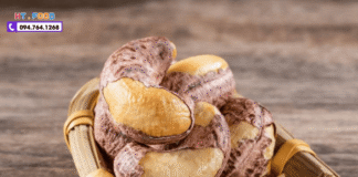 Hạt Điều Rang Muối Mua Ở Đâu Ngon, Giòn, Chuẩn Xuất Khẩu?