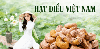 Hạt điều rang muối mua ở đâu thơm ngon và đáng tin cậy? Hat dieu rang muoi mua o dau chat luong