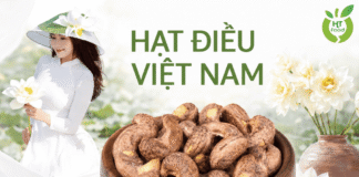 Hạt điều mua ở đâu tại Thanh Hóa chất lượng và thơm ngon? Hat dieu tai Thanh Hoa uy tin
