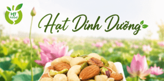 Lợi ích của các loại hạt dinh dưỡng đối với sức khỏe mỗi ngày