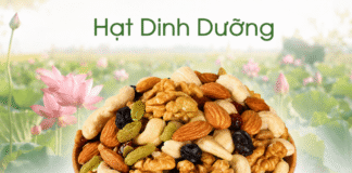 Ăn hạt gì để hỗ trợ kiểm soát cholesterol và giảm mỡ máu? Hat dinh duong kiem soat cholesterol