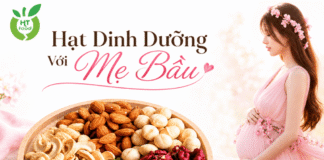 Các loại hạt dinh dưỡng tốt cho bà bầu giàu dưỡng chất thiết yếu Hat dinh duong tot cho ba bau