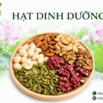 Các loại hạt dinh dưỡng tốt cho xương khớp nên ăn mỗi ngày Hat dinh duong tot xuong khop