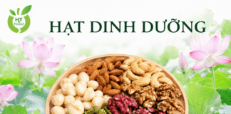 Các loại hạt dinh dưỡng tốt cho xương khớp nên ăn mỗi ngày Hat dinh duong tot xuong khop
