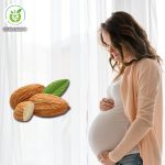 Hạt hạnh nhân tốt cho bà bầu Hạt hạnh nhân với bà bầu