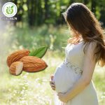 Hạt hạnh nhân có tác dụng gì cho bà bầu? Hạt hạnh nhân