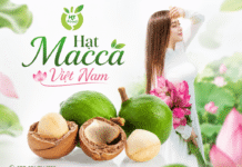 Cách sử dụng hạt mắc ca hợp lý để bổ sung dinh dưỡng mỗi ngày Hat mac ca an nhu the nao tot