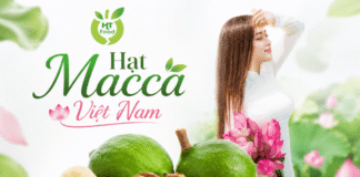 Cách sử dụng hạt mắc ca hợp lý để bổ sung dinh dưỡng mỗi ngày Hat mac ca an nhu the nao tot