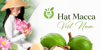 Hạt mắc ca bán ở đâu ngon, giá phù hợp cho gia đình? Hat mac ca ban o dau
