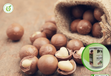 Hạt mắc ca bán ở đâu ngon và giá rẻ nhất?