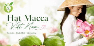 Hạt mắc ca mua ở đâu tại Hà Nội để chọn hạt ngon, dễ mua?