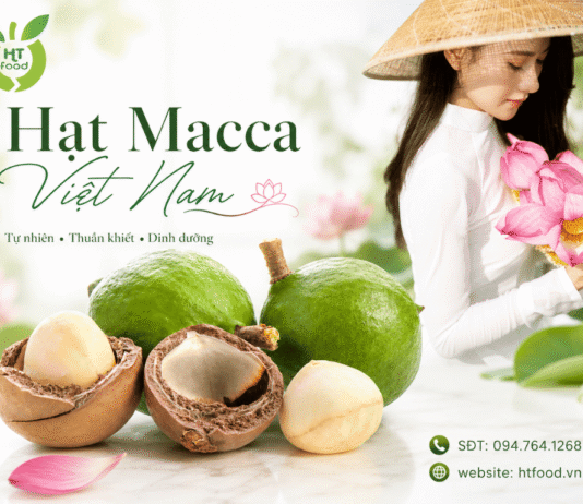 Hạt mắc ca mua ở đâu tại Hà Nội để chọn hạt ngon, dễ mua?