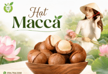 Hạt macca Việt Nam: dinh dưỡng, công dụng và giá bán 1kg? Hat macca Vietnam ban o dau