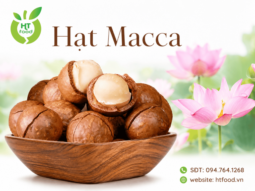 Hat macca Vietnam mua o dau