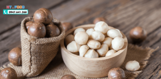 Hạt Macca Có Tác Dụng Gì? Khám Phá 7 Công Dụng Tuyệt Vời!