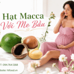 Hạt macca có tác dụng gì cho bà bầu trong thai kỳ? Hat macca co tac dung gi voi me bau