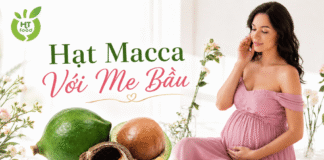 Hạt macca có tác dụng gì cho bà bầu trong thai kỳ? Hat macca co tac dung gi voi me bau
