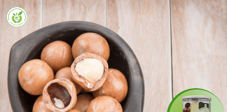 HTFood – Địa chỉ mua hạt macca uy tín tại Gò Vấp – TP.HCM